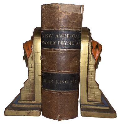 1864, AMERICAN FAMILY PHYSICIAN, GUIDE TO HEALTH, MEDICAL, JOHN KING, 2 VOL IN 1-image