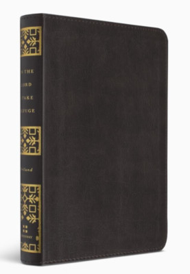 In the Lord I Take Refuge : 150 Daily Devotions Through the Psalms, Faux Leather-image