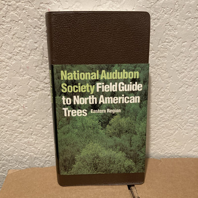 National Audubon Society Field Guide to North American Trees--E: Eastern Region-image