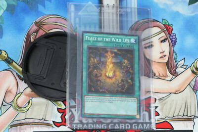 Yugioh Spell Card Feast of the Wild LV5 SP15-EN041 1ST Edition Shatterfoil Rare-image