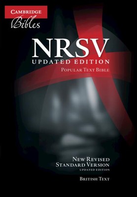NRSVue Popular Text Bible, Black Calf Split Leather, NR534:T: Upd-image