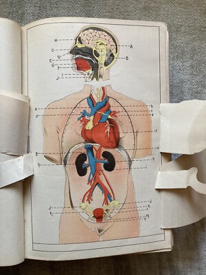 Ladies’ Guide, Rare, Antique, Health, Disease, Motherhood, Kellogg, 1900, illus.-image