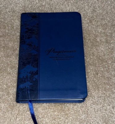 Prayer Points - Praying God's Promises at Your Point of Need-image