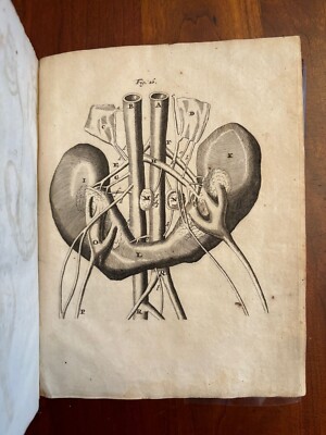 1711 Medical Book, Blasium on Renal Anatomy w/ 4 Plates, French Medicine Leather-image