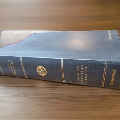 Rare ESV The MacArthur Study Bible Premium Calfskin Leather Black Crossway 2010-image