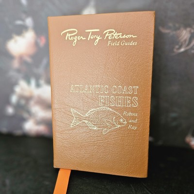 Roger Tory Peterson ATLANTIC COAST FISHES Field Guide 50th Anniversary - Robins-image
