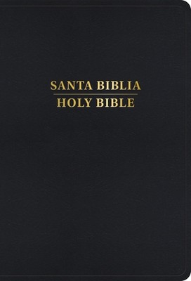 Rvr 1960/KJV Biblia Bilinge Letra Grande, Negro Imitacin Piel (Edicin 2024) by B-image