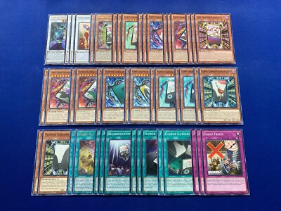 Yu-Gi-Oh! ARC-V - Chojiro Tokumatsu's Complete Flower Cardian Synchro Deck-image