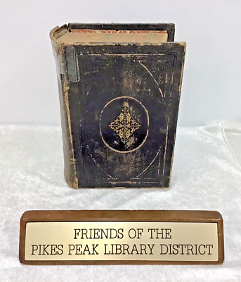 1882 AMERICAN FAMILY PHYSICIAN DOMESTIC GUIDE TO HEALTH, Dr JOHN KING 2 VOL IN 1-image