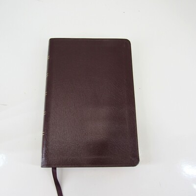 Holy Bible New International Version Zondervan 1996 Red Bonded Leather-image