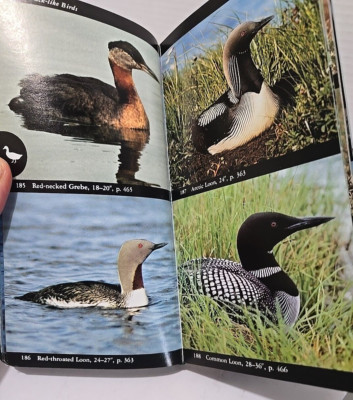National Audubon Society North American Birds Field Guide Eastern 1977 See VIDEO-image