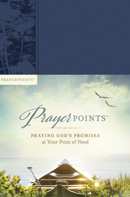 Prayer Points - Praying God's Promises at Your Point of Need - - Good - See ...-image