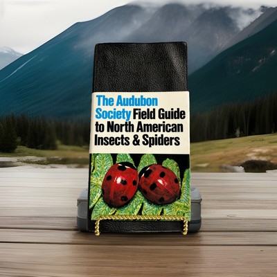 The Audubon Society Field Guide To North American Insects And Spiders-image
