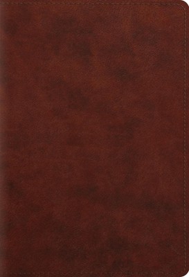 ESV Student Study Bible by David Chapman (English) Leather Book-image