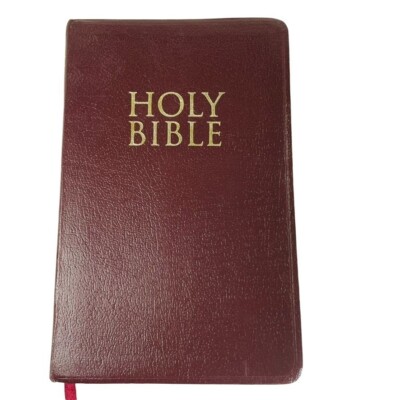Holy Bible Leather Red Burgundy  Zondervan Jesus Red Print Standard Text u-image