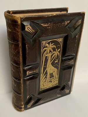 1877 - The Animal Kingdom; It’s Varieties And Oddities By Rev. W. Bingley-image