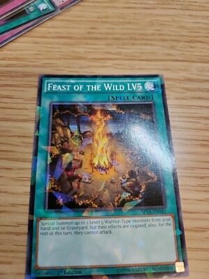 Feast Of The Wild  LV5 *Shatter Foil Super Rare* SP15-EN041 1st Edition NM-image