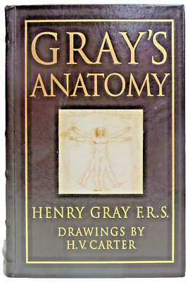 Gray's Anatomy 15th Ed 1995 Leather Bound Barnes & Nobles-image