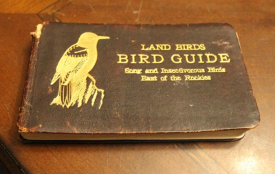 Land Birds Bird Guide: East of the Rockies ~ 1912 ILL Softcover ~ ACC-image