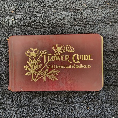1907 FLOWER CUIDE Wild Flowers East of the Rockies-image