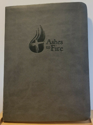 Ashes to Fire: M. J. Nielson  2010  Leather/VG/Includes CD     Free Shipping-image