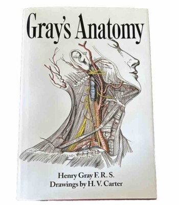 Gray's Anatomy Henry Gray 1995. Hard Cover. 15th Edition Barnes & Noble.-image