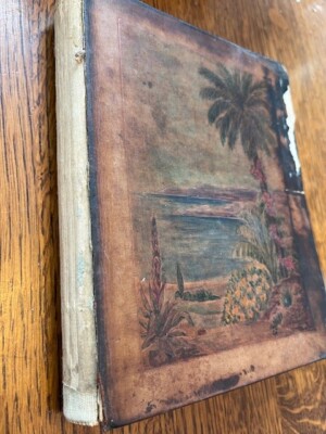 The French Riviera The Pictures Guide Medici Society 1925 Pierre Devoluy Borel-image