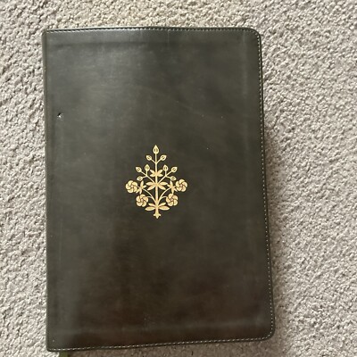 Holy Bible ESV Crossway Large Print Black Trade Cover Text 2016-image