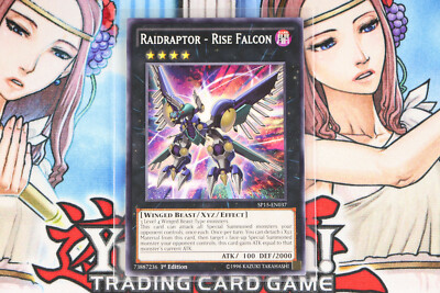 Yugioh Raidraptor - Rise Falcon SP15-EN037 1st Edition Common-image