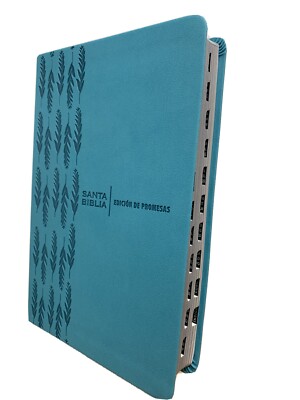  Biblia de Promesas - Letra Grande- REINA V. 1960Turquesa PALABRAS CRISTO D.ROJO-image