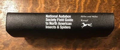 National Audubon Society Field Guide to North American Insects and Spiders 1980-image