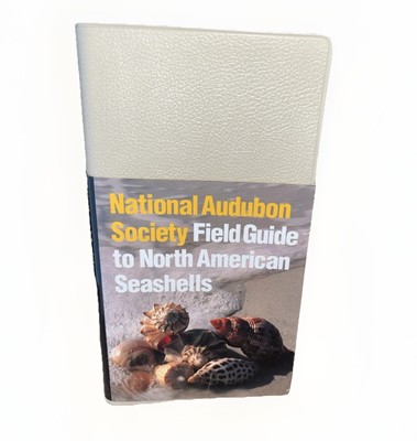 National Audubon Society Field Guide to North American Seashells 1981-image