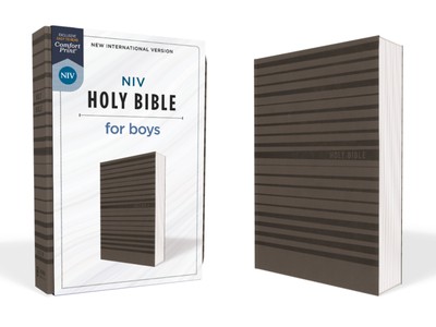 NIV Holy Bible For Boys Gray-image
