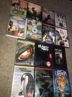 15 + Animal DVDs Babe Black Beauty Racing Stripes Cats & Dogs Godzilla King King-image
