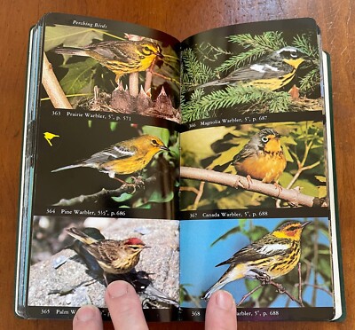 The Audubon Society Field Guide to North American Birds 1977-image