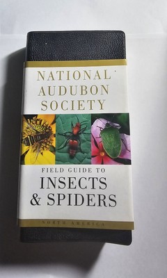 National Audubon Society Field Guide to Insects and Spiders : North America -image