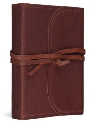 Crossway ESV Student Study Bible (Leather Bound) (UK IMPORT)-image