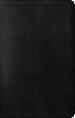 ESV Reformation Study Bible, Condensed Ed., Black (Leather Bound) (UK IMPORT)-image