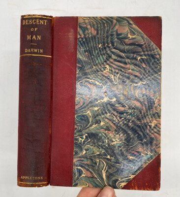 1896 Charles Darwin The Descent of Man Antique Leather Illustrated Science Book-image