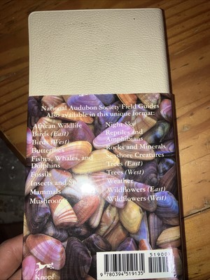 National Audubon Society Field Guide to Shells 1996 Ed. BNV Gorgeous-image
