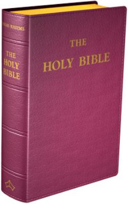 The Holy Bible: Douay-Rheims Version-image