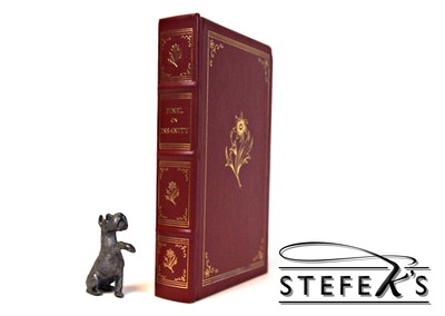 Pinel - On Insanity - Classics of Psychiatry & Behavioral Sciences Edition-image