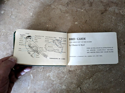 Bird Guide: Land Birds East of the Rockies Revised 1951 Chester A Reed-image