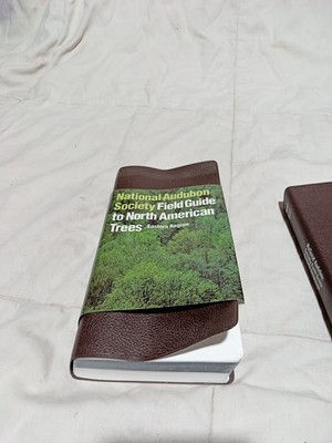 National Audubon Society Field Guide to North American Trees--E: Eastern Region-image