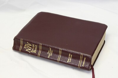 NIV Study Bible New International Version 10th Anniv Ed Thumb Index Zondervan-image