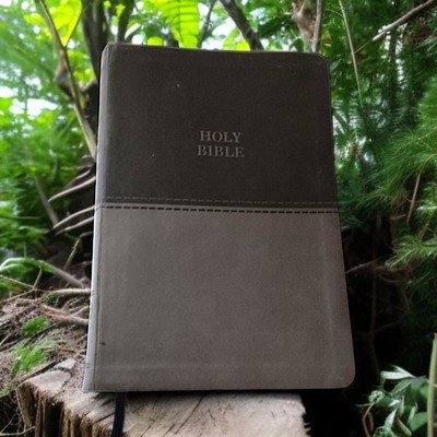 Thinline Bible Large Print Imitation Leather Red Letter Edition Thomas Nelson -image
