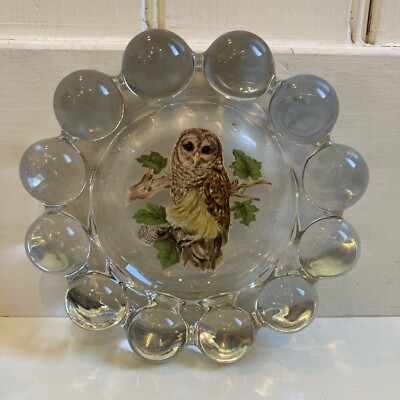 1980's Westmoreland Clear Glass Barred Owl Decal 7.5
