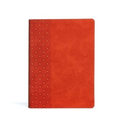 CSB Study Bible, Coral LeatherTouch (Leather Bound) (UK IMPORT)-image