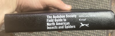 National Audubon Society Field Guide to North American Insects and Spiders 1980-image