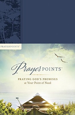 Prayer Points - Praying God's Promises at Your Point...-image